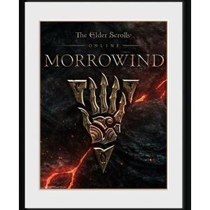 The Elder Scrolls Online Morrowwind - Logo Zarámovaný obraz standard