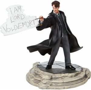 Harry Potter Figurka Tom Riddle Sberatelská postava standard
