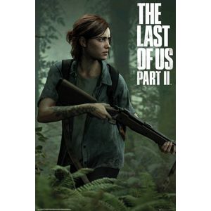 The Last Of Us 2 - Ellie plakát vícebarevný