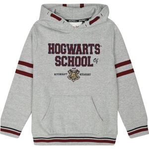 Harry Potter Kids - Hogwarts School detská mikina s kapucí vícebarevný