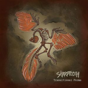 Sharptooth Transitional forms CD standard