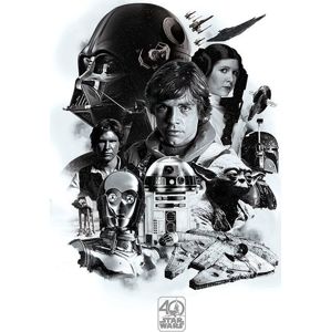 Star Wars 40th Anniversary - Montage plakát cerná/bílá