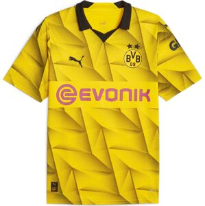 Borussia Dortmund Pohárový dres 2023/24 Dres pro fanoušky vícebarevný