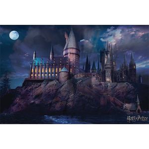 Harry Potter Hogwarts plakát vícebarevný