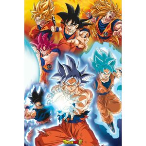 Dragon Ball Goku's Transformations plakát vícebarevný