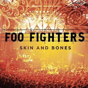 Foo Fighters Skin and bones CD standard
