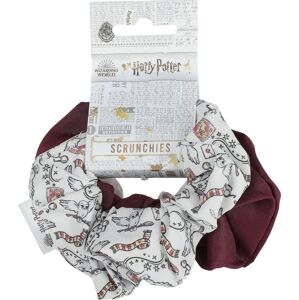 Harry Potter Hedwig & Symbols Vlasové gumičky vícebarevný