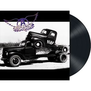 Aerosmith Pump LP standard