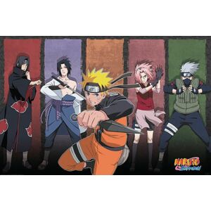 Naruto Shippuden - Naruto & Allies plakát vícebarevný