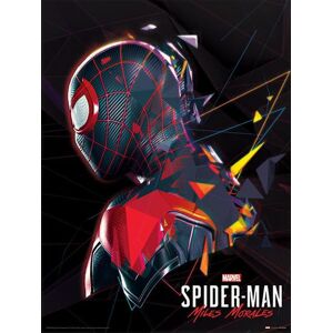 Spider-Man Miles Morales - System Shock Zarámovaný obraz vícebarevný