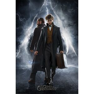 Fantastic Beasts Grindelwalds Verbrechen - Newt & Dumbledore plakát vícebarevný
