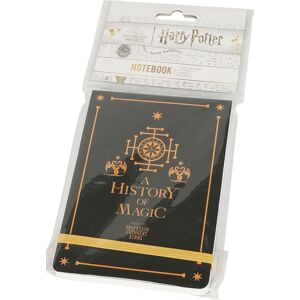 Harry Potter History Of Magic Notes cerná/žlutá