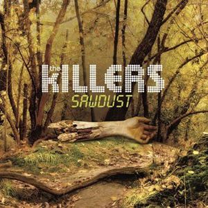 The Killers Sawdust (the rarities) CD standard