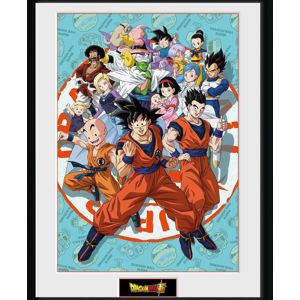 Dragon Ball Super - Universe Group Zarámovaný obraz standard