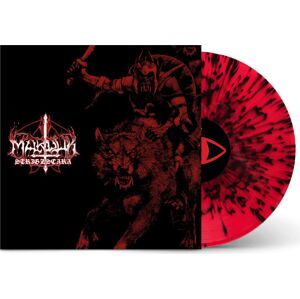 Marduk Strigzcara warwolf live 1993 LP barevný