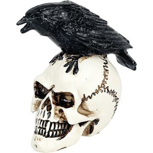 Alchemy England Raven Skull: Miniatur Schädel dekorace lebka standard