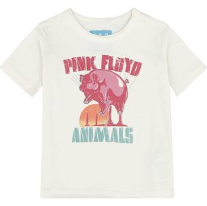 Pink Floyd Amplified Collection - Animal Balloon detské tricko šedobílá
