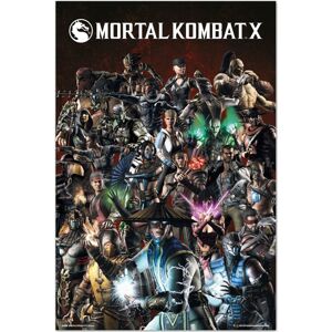 Mortal Kombat X - Group plakát vícebarevný
