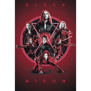 Black Widow Legacy plakát vícebarevný
