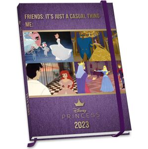 Disney Princess A5 Kalenderbuch 2023 Diář vícebarevný