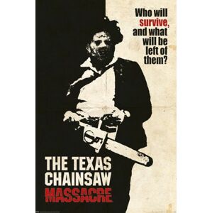 Texas Chainsaw Massacre Who Will Survive plakát vícebarevný
