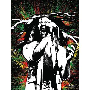 Bob Marley Colour tisk na plátne standard