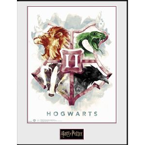 Harry Potter Vodové barvy Hogwarts Zarámovaný obraz standard