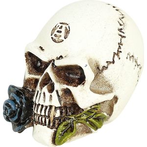 Alchemy England Alchemist Skull: Miniature Skull dekorace lebka standard