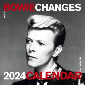 David Bowie Kalendář na zeď 2024 Nástenný kalendář vícebarevný