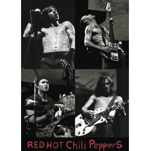 Red Hot Chili Peppers Live - (Collage) plakát vícebarevný