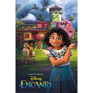 Encanto Garden plakát vícebarevný