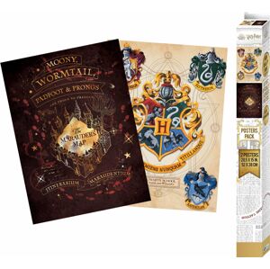 Harry Potter Sada 2 ks plakátů Crest and Marauders - Chibi Design plakát vícebarevný