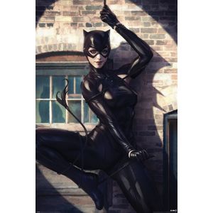 Catwoman Spotlight plakát vícebarevný