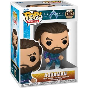 Aquaman Aquaman and the lost Kingdom - Aquaman Vinyl Figur 1302 Sberatelská postava standard