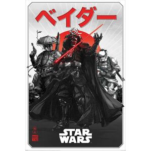 Star Wars Visions (Da-ku Saido) plakát standard