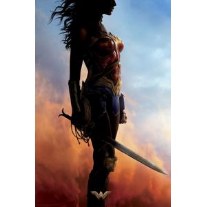 Wonder Woman Wonder Woman plakát vícebarevný