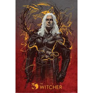 The Witcher Geralt The Wolf plakát vícebarevný