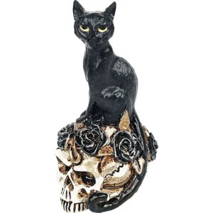 Alchemy England Cat and Skull: Miniature Skull dekorace lebka standard