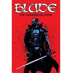Blade The Vampire Hunter plakát vícebarevný
