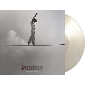 Incubus If not now, when? 2-LP standard